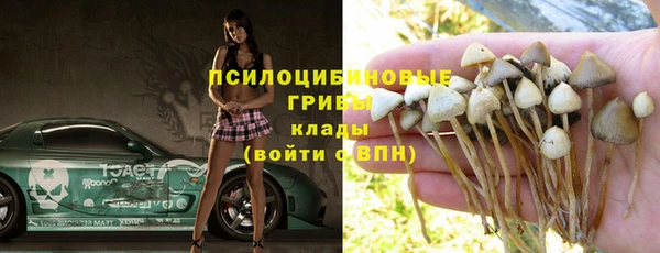 тгк Алексеевка