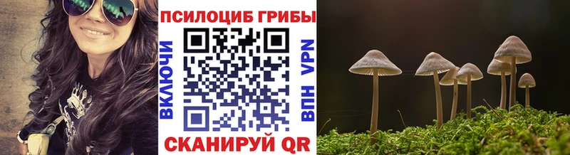 Галлюциногенные грибы мицелий  Купить где  Кунгур 